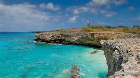 Bonaire air